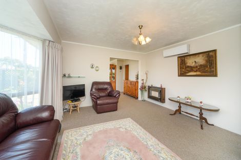 Photo of property in 1 Mcarthur Street, Terrace End, Palmerston North, 4410