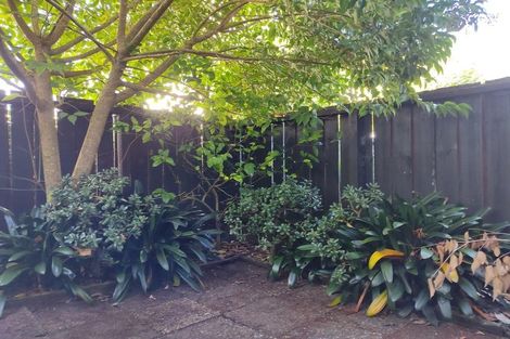 Photo of property in 6/7 Patterson Street, Sandringham, Auckland, 1041