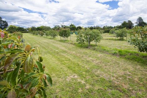 Photo of property in 547 Nelson Road, Lytton West, Gisborne, 4071
