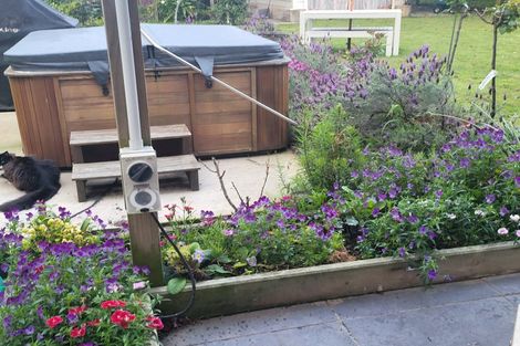 Photo of property in 17 Hakanoa Street, Huntly, 3700