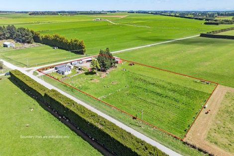 Photo of property in 253 Burts Road, Southbridge, Leeston, 7682