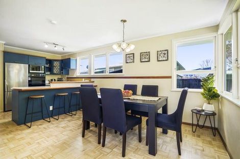 Photo of property in 25 Fitzroy Avenue, Fitzroy, Hamilton, 3206