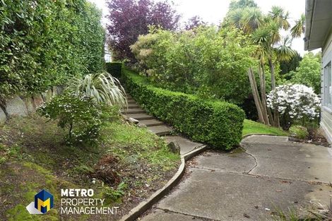 Photo of property in 10 Haig Street, Mornington, Dunedin, 9011