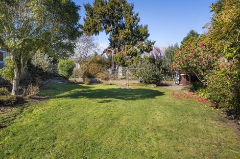 Photo of property in 12 Trewin Street, Feilding, 4702