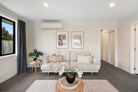 Photo of property in 30 Willow Street, Hampstead, Ashburton, 7700