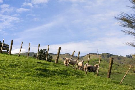 Photo of property in 4 Colin Drive, Komata, Paeroa, 3674