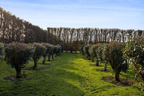 Photo of property in 16 Arthur Road, Paraite, New Plymouth, 4373