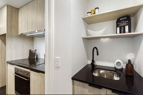 Photo of property in 410/8 Kingsland Terrace, Kingsland, Auckland, 1021