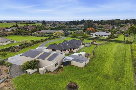 Photo of property in 53 Pohutukawa Drive, Levin, 5571