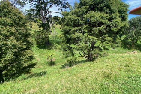 Photo of property in 80 Wainui Road South, Whakamarama, Katikati, 3181