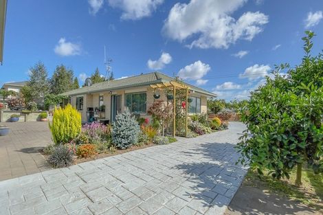 Photo of property in 24 Banks Road, Matamata, 3473