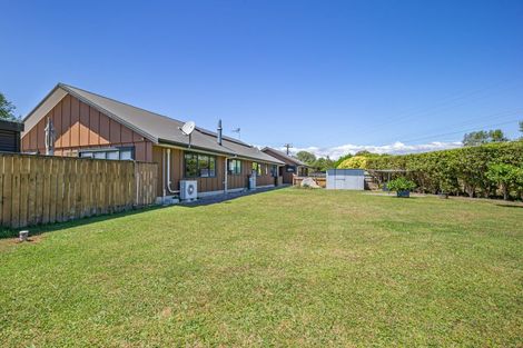 Photo of property in 59 Avenue North Road, Levin, 5510