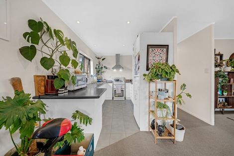 Photo of property in 5b Chelmsley Avenue, Henderson, Auckland, 0612