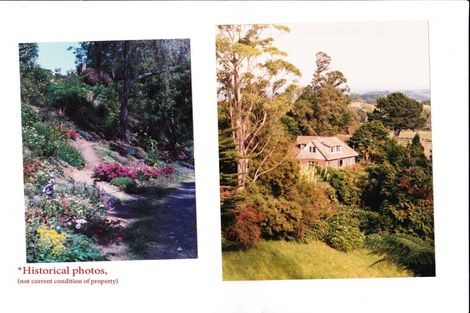 Photo of property in 264 Bellevue Road, Bellevue, Tauranga, 3110