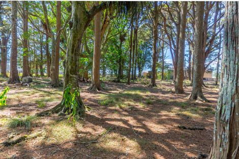 Photo of property in 1398 Glenbrook Waiuku Road, Glenbrook, Waiuku, 2681