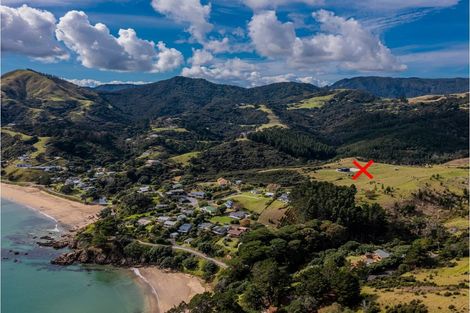 Photo of property in 1579 Colville Road, Amodeo Bay, Coromandel, 3584