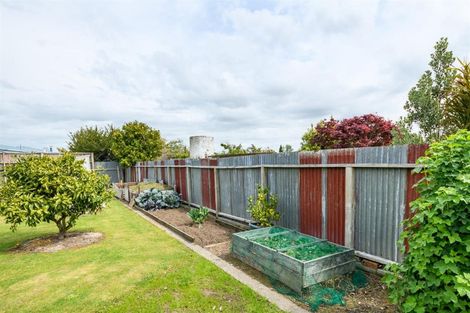 Photo of property in 201 Bridge Street, Bulls, 4818