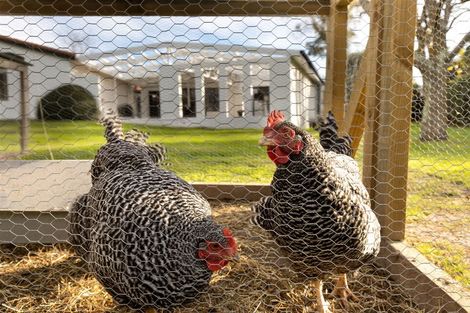 Photo of property in 221a Redwood Street, Witherlea, Blenheim, 7201