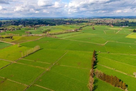 Photo of property in 99 Livingstone Road, Ngahinapouri, Hamilton, 3290