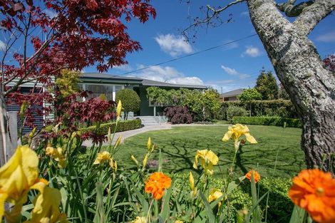 Photo of property in 11 Keats Terrace, Leamington, Cambridge, 3432