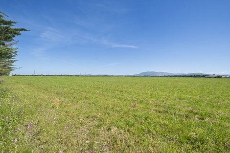 Photo of property in 136 Purchas Road, Glasnevin, Amberley, 7482