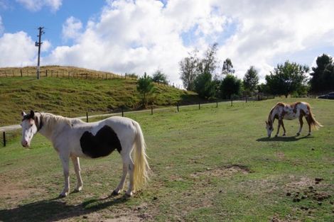 Photo of property in 27 Otake Road, Marotiri, Taupo, 3377