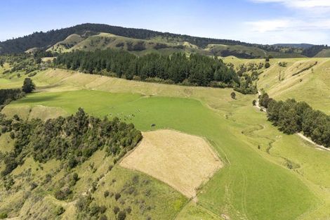 Photo of property in 1 Takapari Road, Pohangina, Ashhurst, 4884