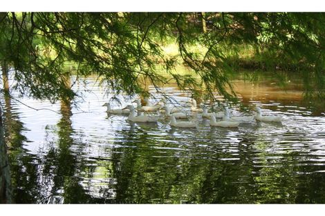 Photo of property in 360 Underwood Road, Wellsford, 0973