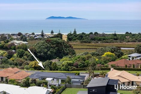 Photo of property in 121 Koutunui Road, Athenree, Katikati, 3177