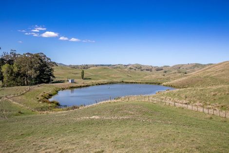 Photo of property in 300 Pattison Road, Akina, Hastings, 4122