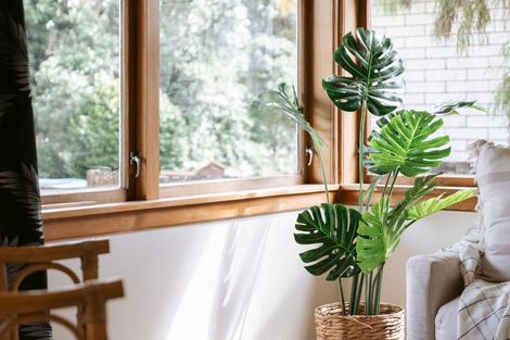 Photo of property in 74 Hamurana Road, Omokoroa, 3114