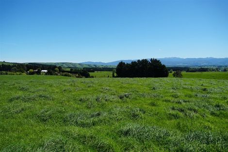 Photo of property in 261 Millars Road, Longbush, 5792