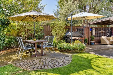 Photo of property in 23 Tanner Street, Havelock North, 4130