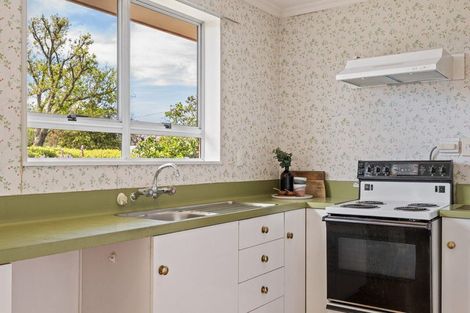 Photo of property in 62 Litchfield Street, Redwoodtown, Blenheim, 7201