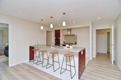 Photo of property in 47 Ruapani Street, Marshland, Christchurch, 8083