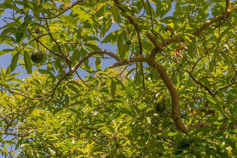 Photo of property in 34 Bennett Drive, Tairua, 3508