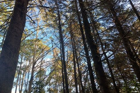 Photo of property in 99 Paranui Road, Taipa, Kaitaia, 0483