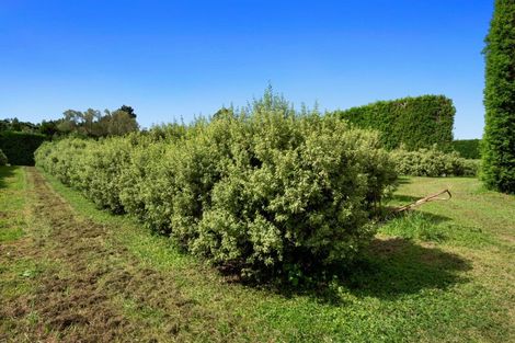 Photo of property in 40 Killen Road, Tahawai, Katikati, 3178