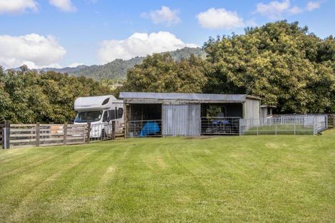 Photo of property in 135 Willoughby Road, Tahawai, Katikati, 3170