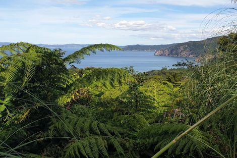 Photo of property in 492 Tuateawa Road, Tuateawa, Coromandel, 3583