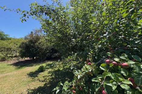 Photo of property in 38 Garth Road, Levin, 5571