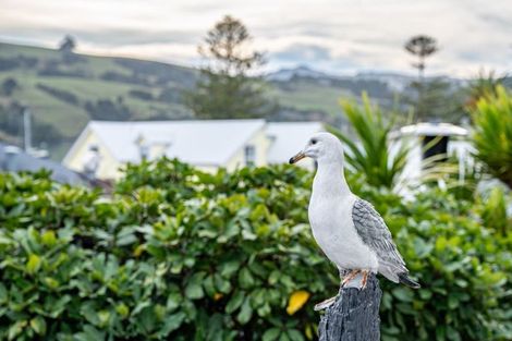 Photo of property in 5f Church Street, Akaroa, 7520