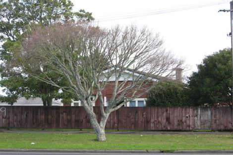 Photo of property in 209 Galloway Street, Hamilton East, Hamilton, 3216