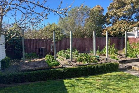 Photo of property in 6 Geelong Place, Burnside, Christchurch, 8053