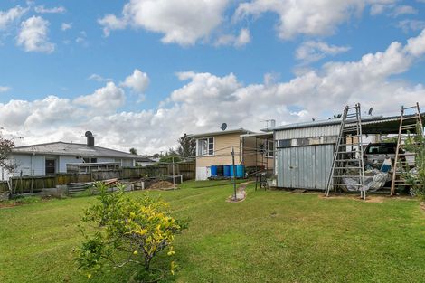 Photo of property in 50 Ellis Avenue, Mount Roskill, Auckland, 1041