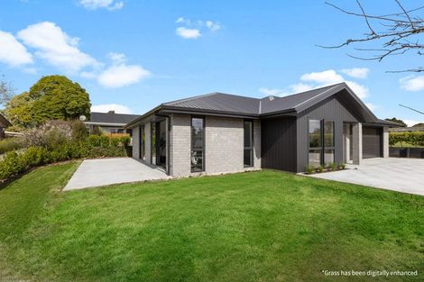 Photo of property in 488a Thames Street, Morrinsville, 3300