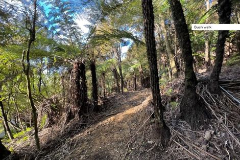 Photo of property in 211 Krippner Road, Puhoi, Warkworth, 0994