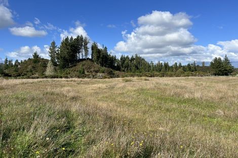 Photo of property in 1225 Blair Road, Moana, Dobson, 7872