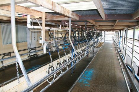 Photo of property in 1234 Richmond Road, Everett Park, Inglewood, 4389