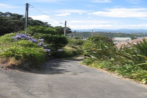 Photo of property in 74 Te Anau Road, Hataitai, Wellington, 6021